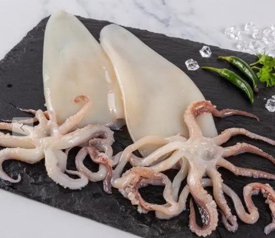 Squid স্কুইড - 600-800 gm Size - 500gm Pack