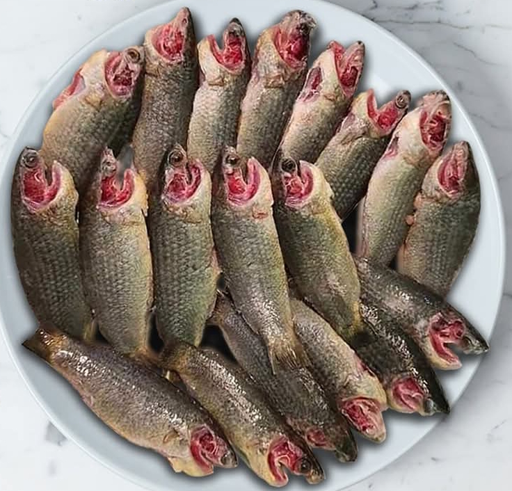 Desi Koi Fish দেশী কই - 15-20 Pcs - 1 kg