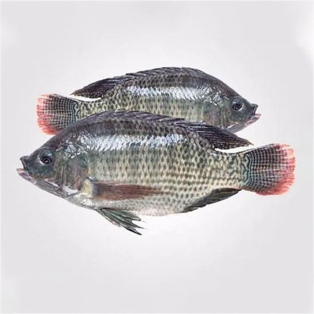 Tilapia Fish - 1 Kg