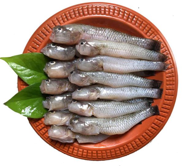 Bele Fish Medium - বেলে - 20-25 pcs - 1kg