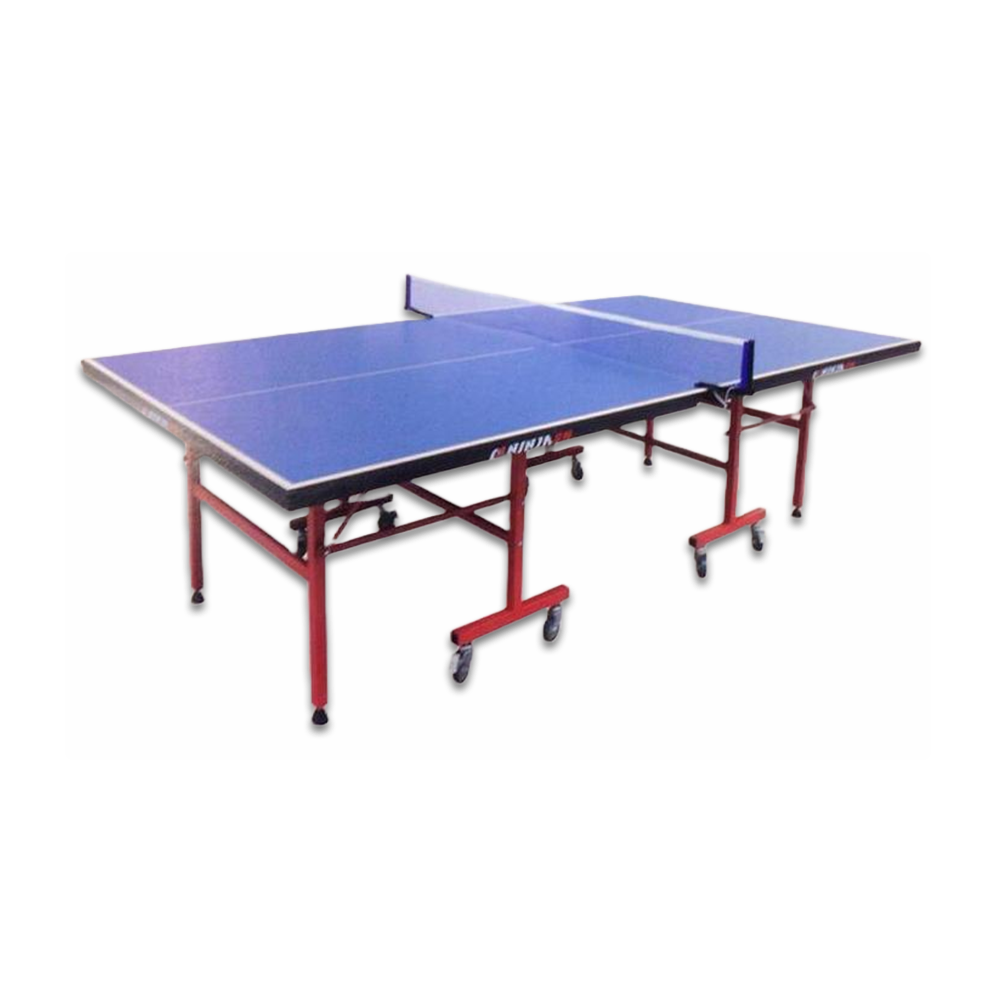 Fold up deals table tennis board