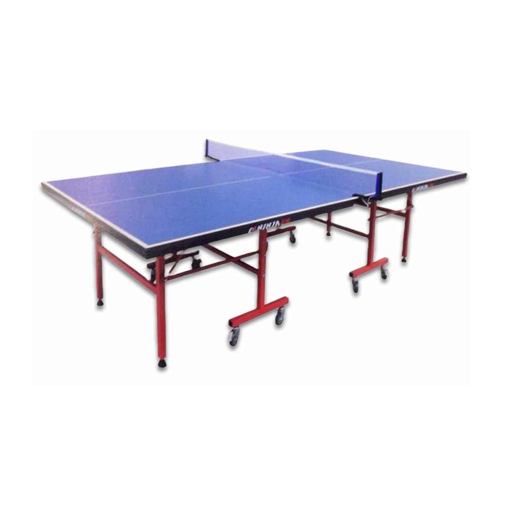 N-201 Single Folding Table Tennis Board - Blue