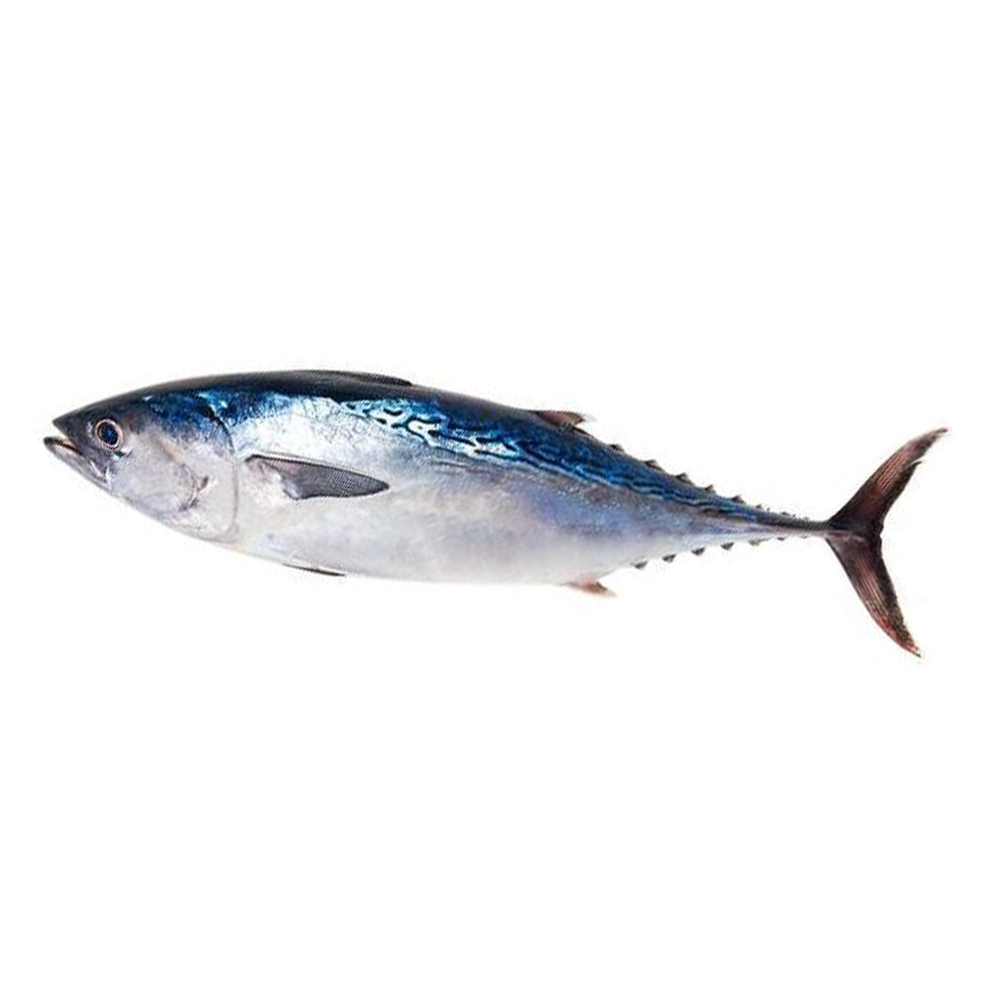 Tuna Fish - 1 Kg