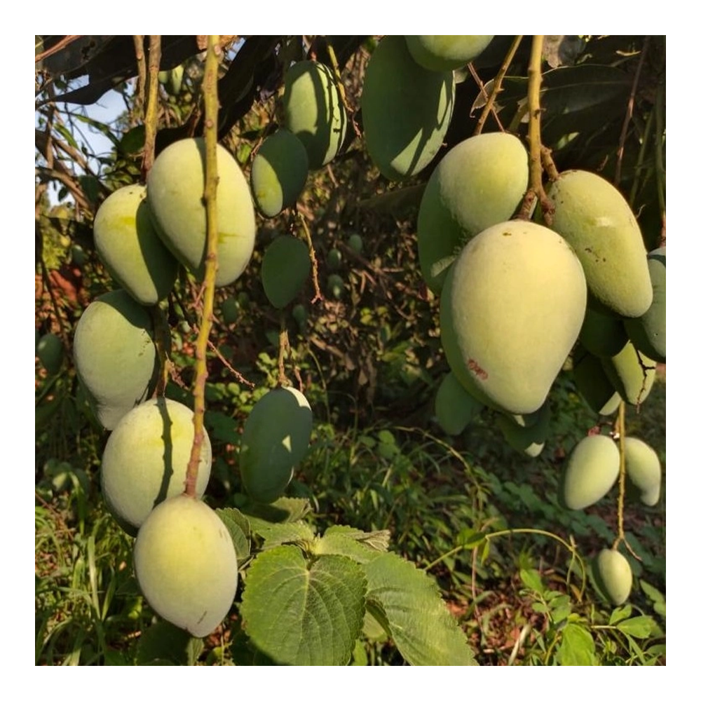 product image3