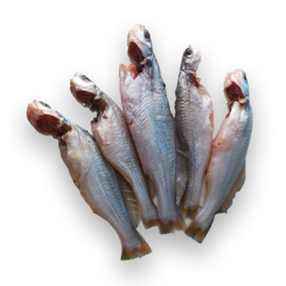 Golsa Fish - 1kg