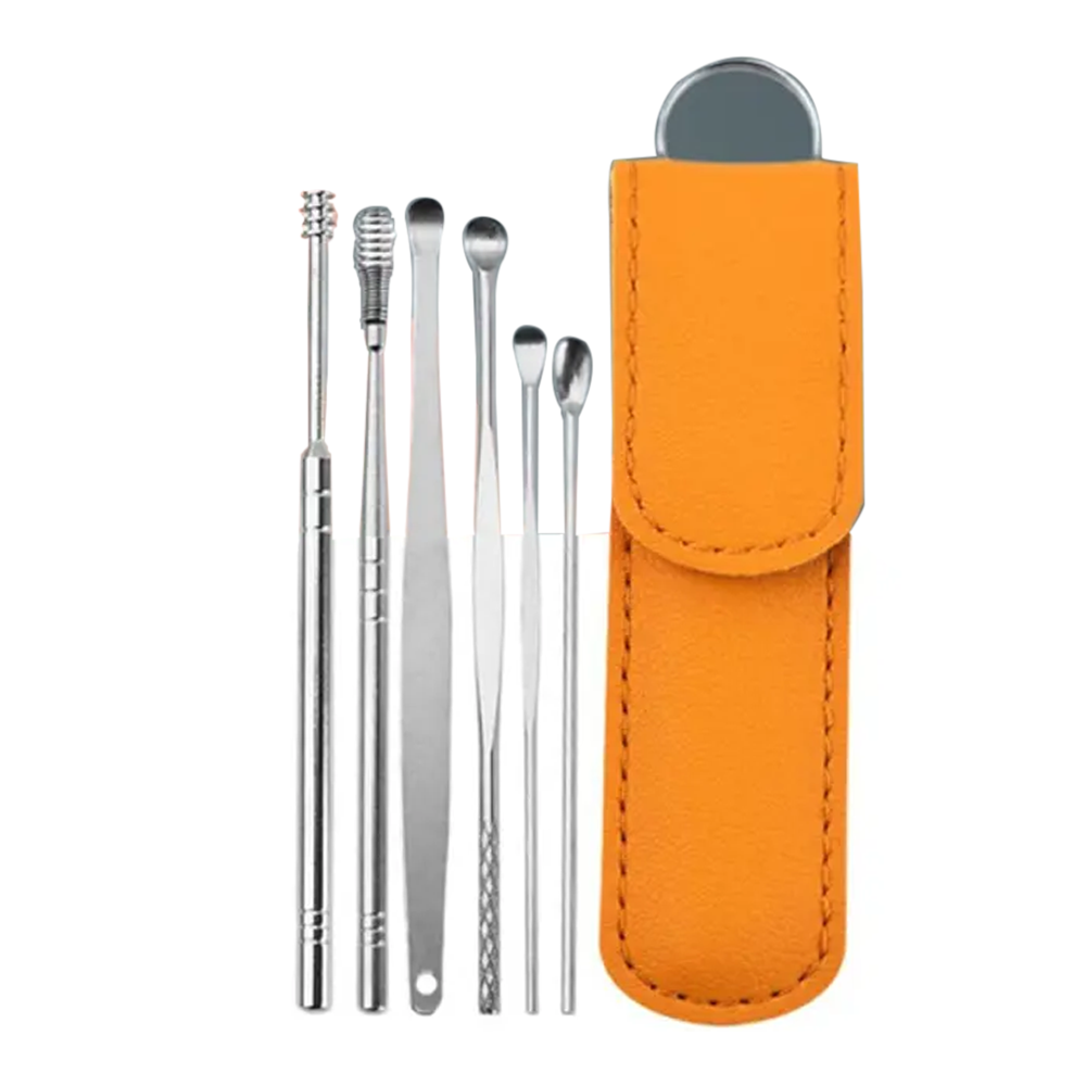 Stainless Steel Ear Pick Cleaner Set with Lather Case 6 Pcs