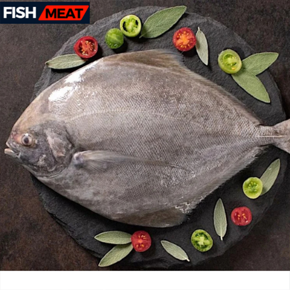 Black Pomfret Fish ( 01 Pcs Kg) - 1 kg