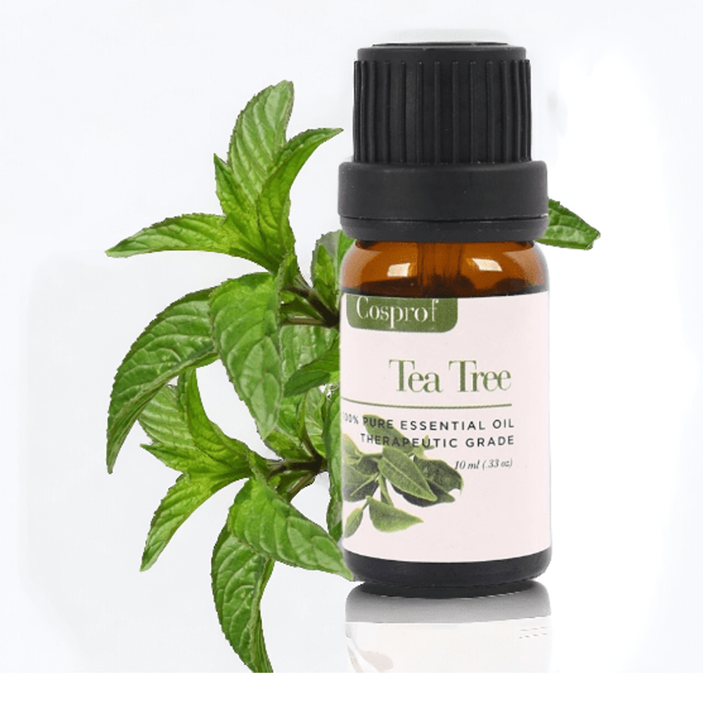 Cosprof Tea Tree Essential Oil - 10ml