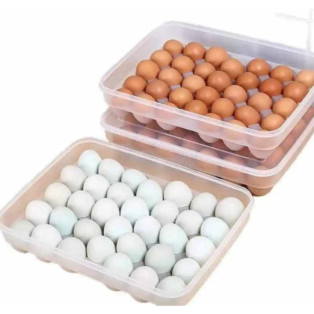 EG-01 Food Grade PP Egg Box - White