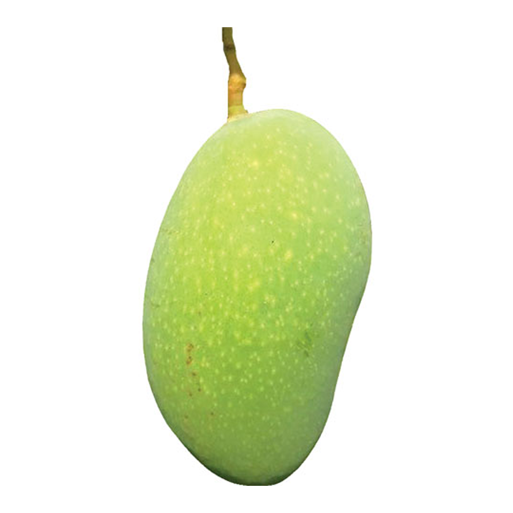 Fazli Mango - 12kg