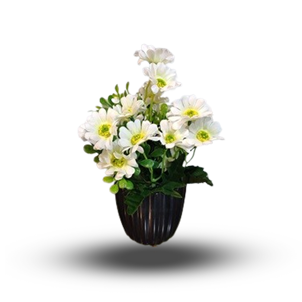 Artificial Beli Flower with Tub - BFT01 - 12  Inch