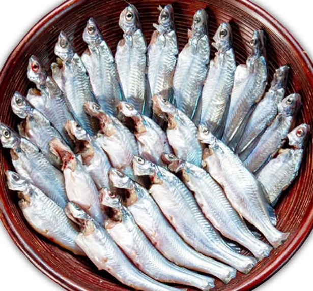 Gulsha Tengra Fish গুলসা টেংরা - 25-30 Pcs - 1KG