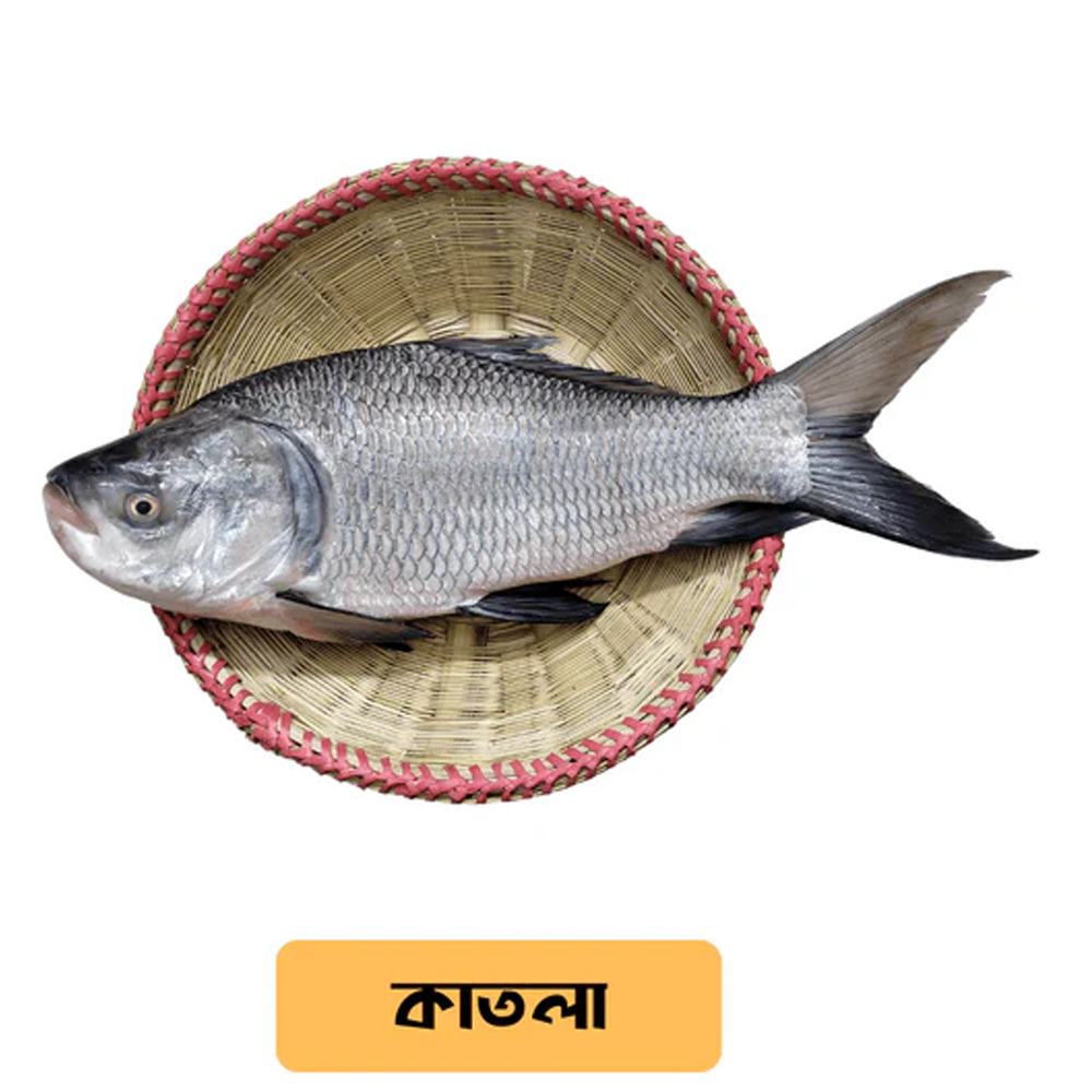 Nodir Katla Fish - 1 Kg