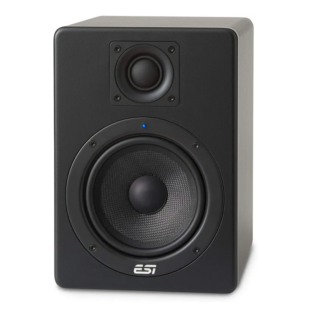 ESI Aktiv 05 Studio Reference Monitor Speaker - 5 Inch - Black