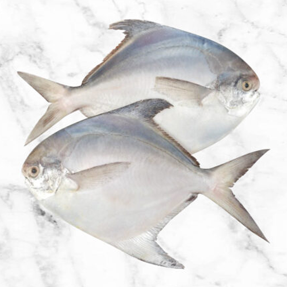  Rupchanda Fish - 50-60Pcs - 5 Kg