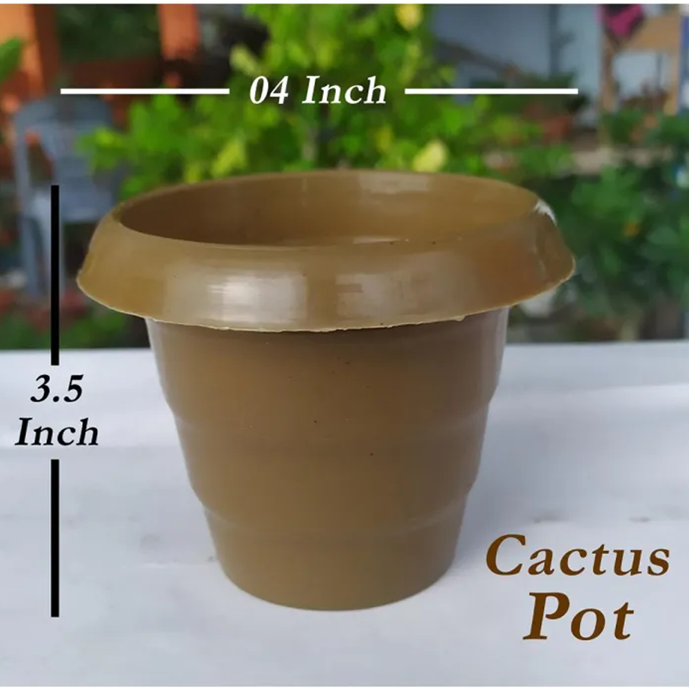 Plastic Cactus Succulent Plant Pot - 10 Pcs