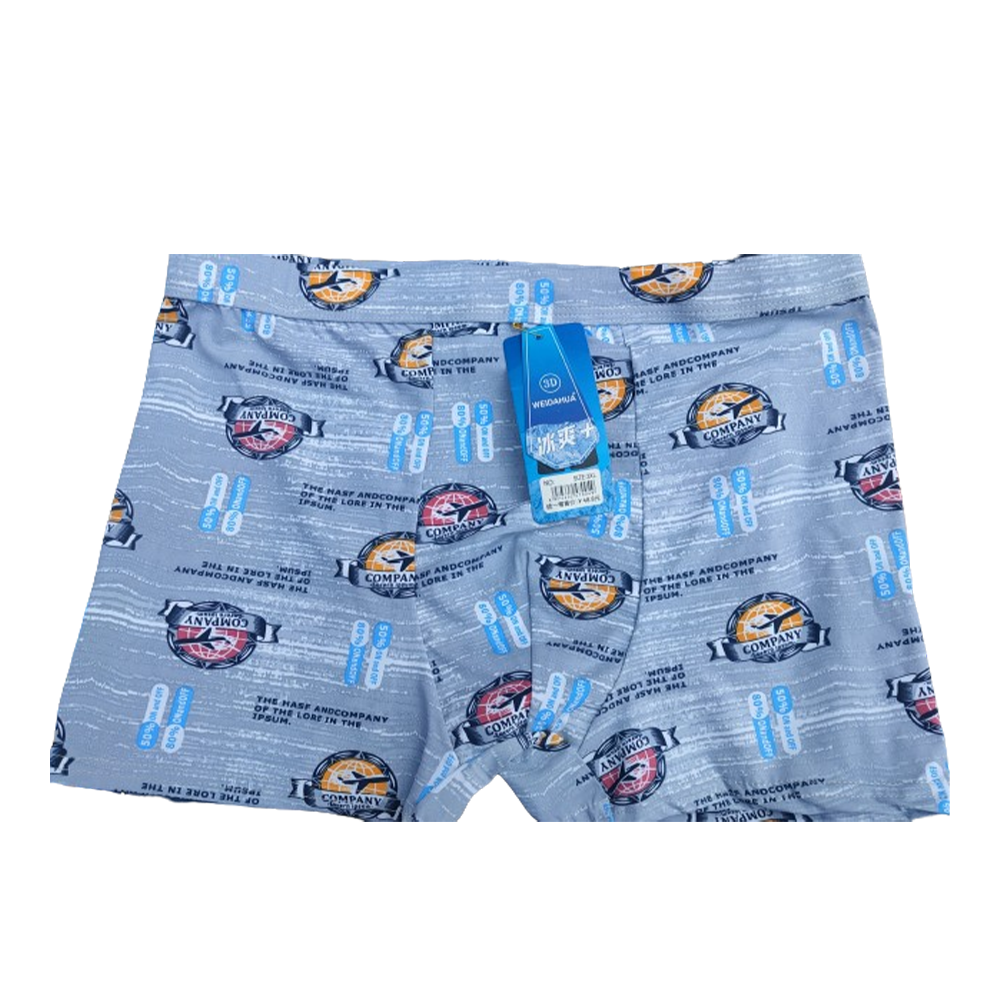 William Polo Ice Silk Underwear Boxer For Men - Light Blue