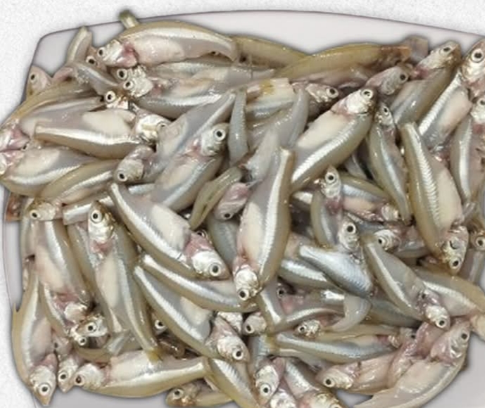 Mola Fish মলা - Average Size - 500 gm