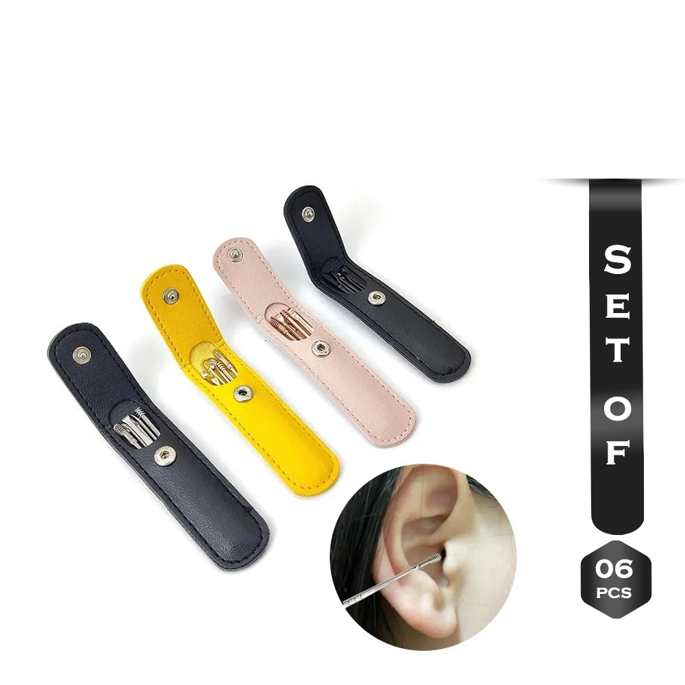 Set Of 6pcs Stainless Steel Ear Cleaner With Lather Case