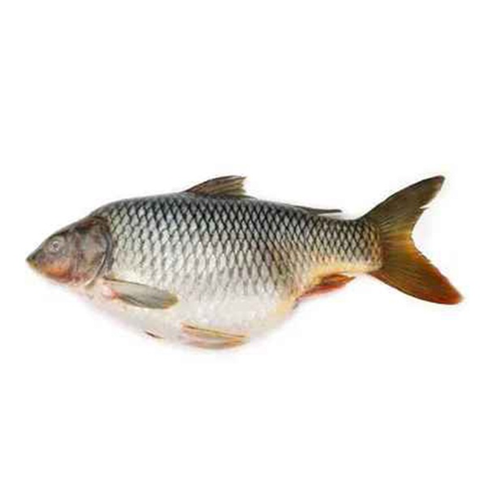 Karfu Fish - 1 Kg