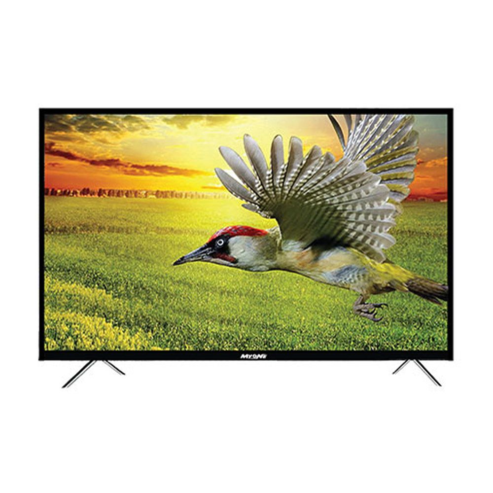 MyOne 24 Inch Best Riyan LED TV - Black