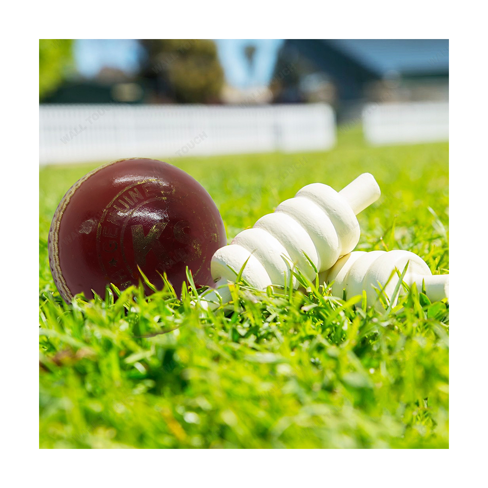 Ks Cricket Ball Hand Stitched Test Ball Practice Cricket Ball - 182598873
