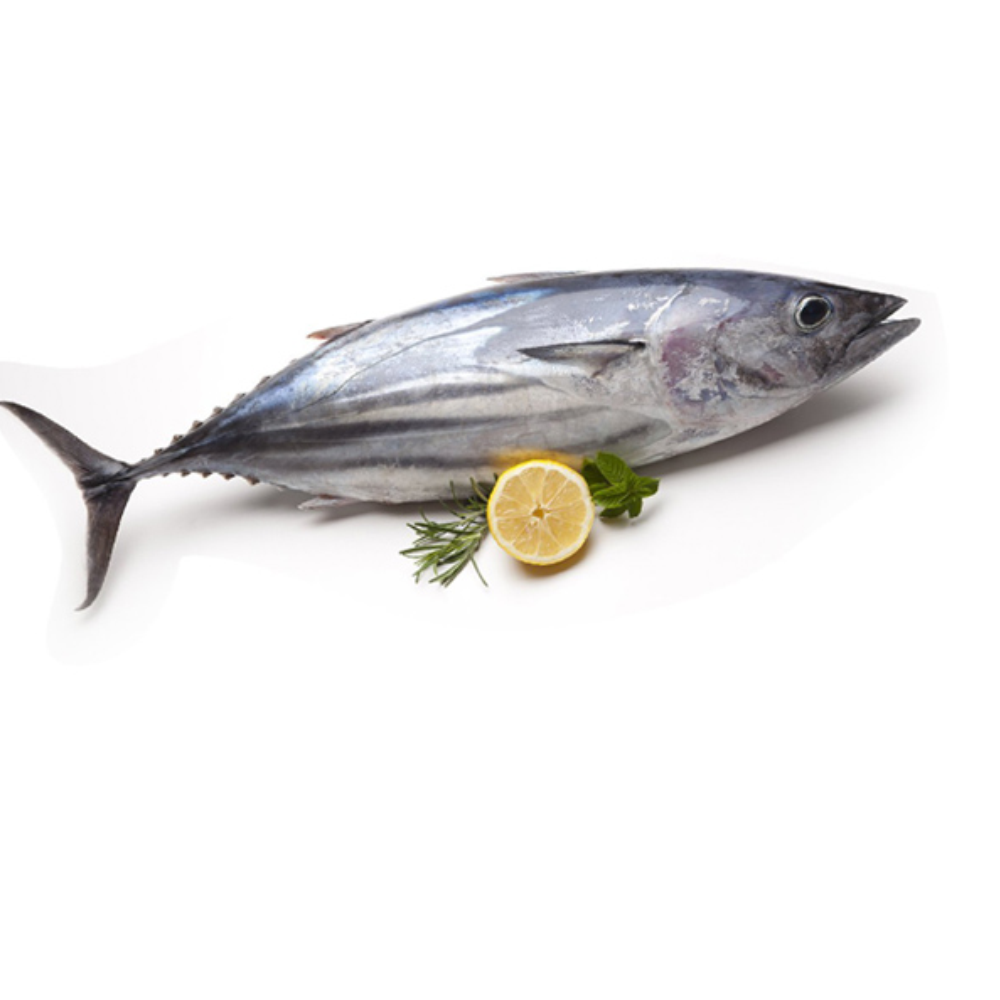 Fresh Sea Tuna Fish - 1 Kg