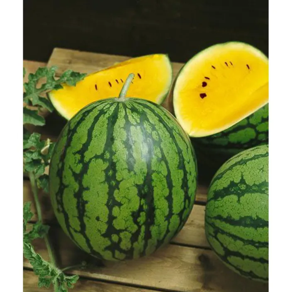 Watermelon Seeds - Yellow  - 10 pcs 