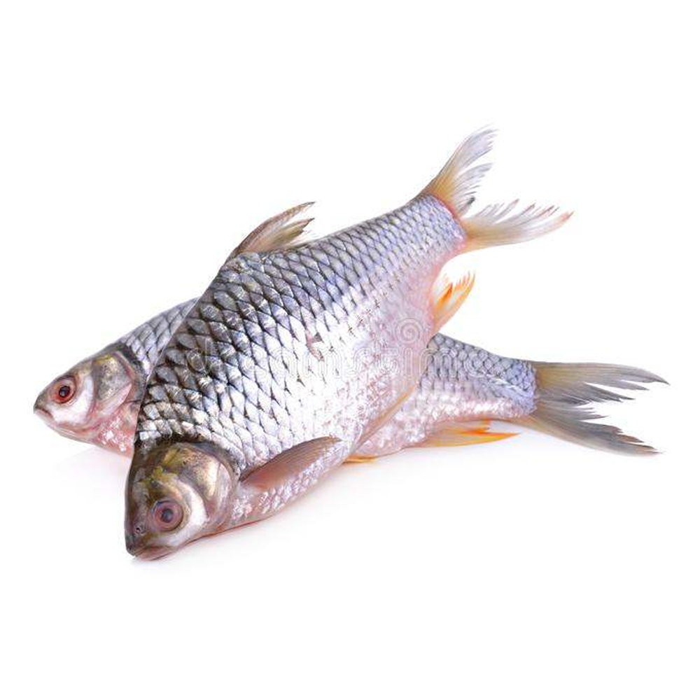 Sorputi Fish - 1 Kg