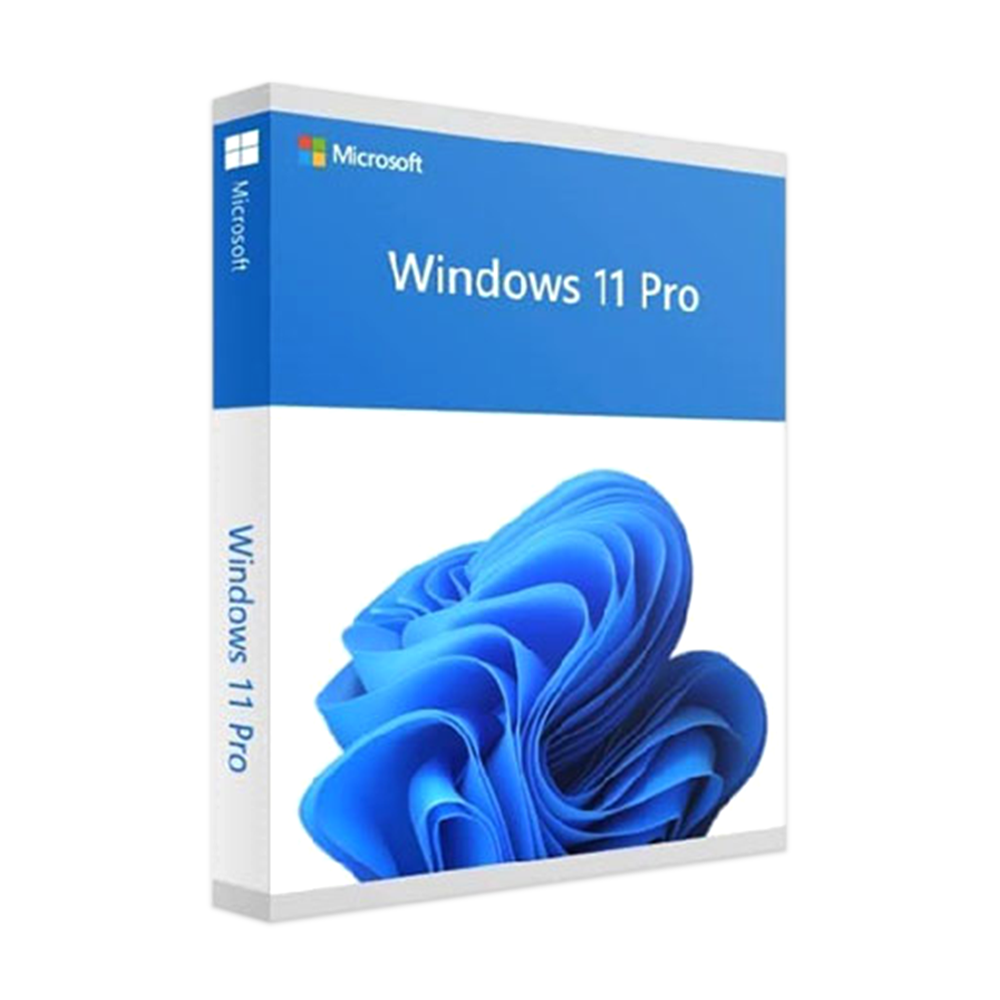 Windows Pro 11 version 21H2
