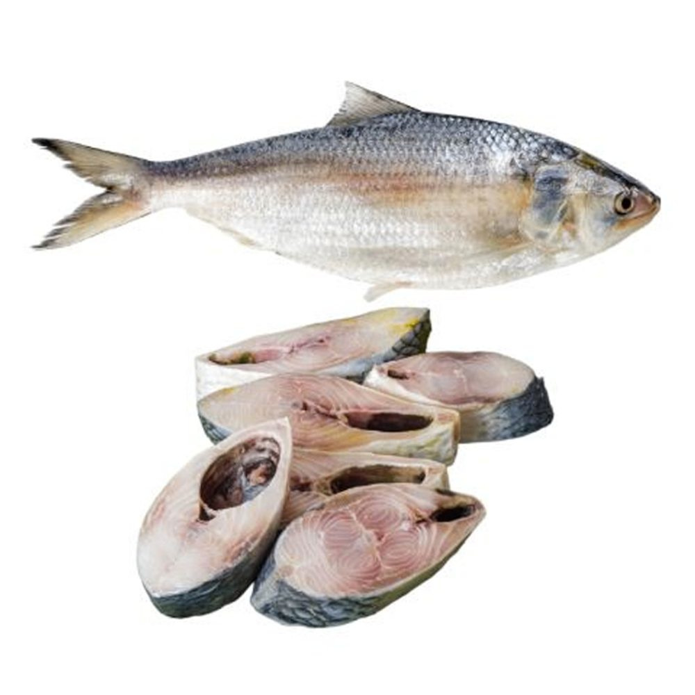 Hilsha Fish - Extra Large - 1.2 Kg to 1.4 Kg