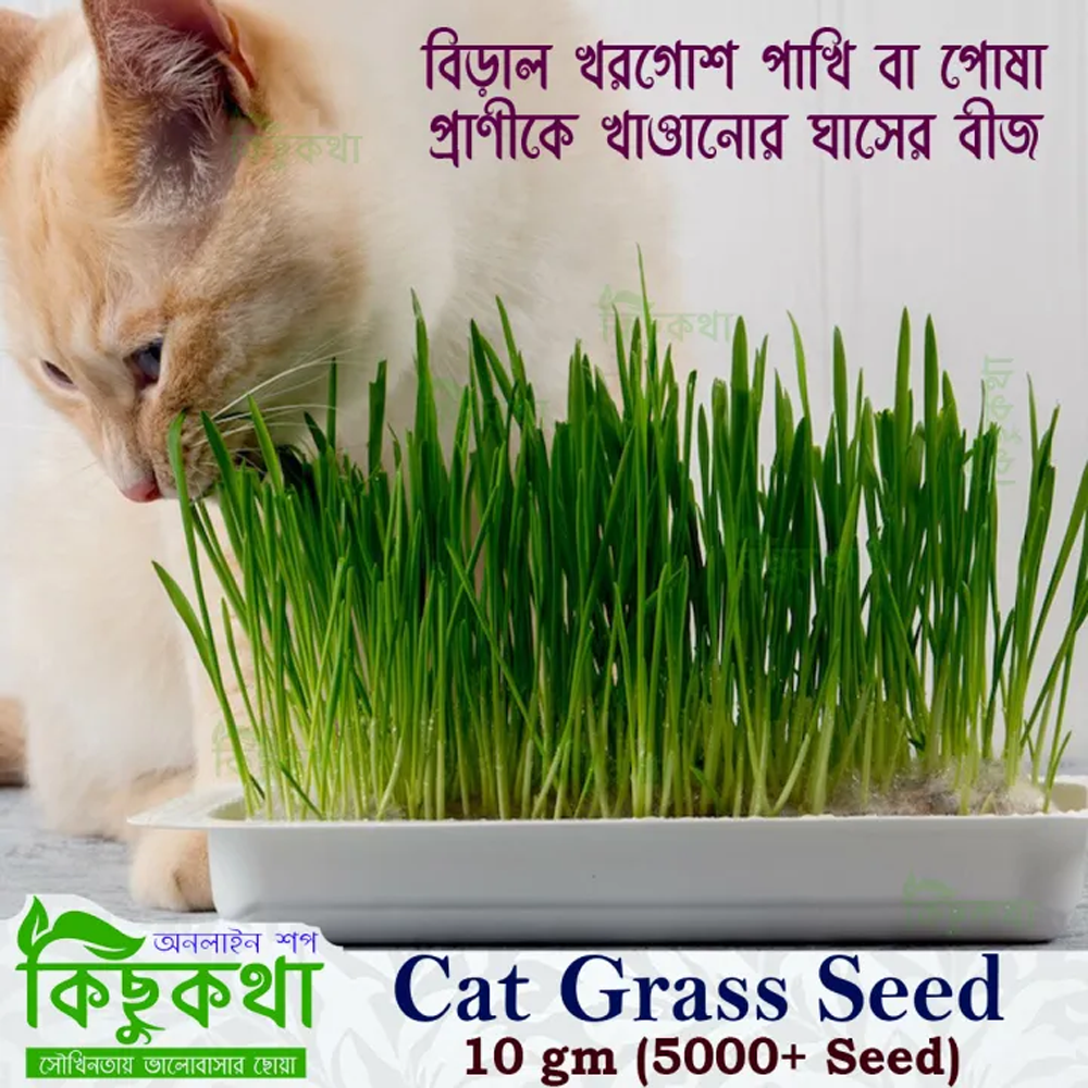 Grass Seeds for Feeding Cats - 10gm