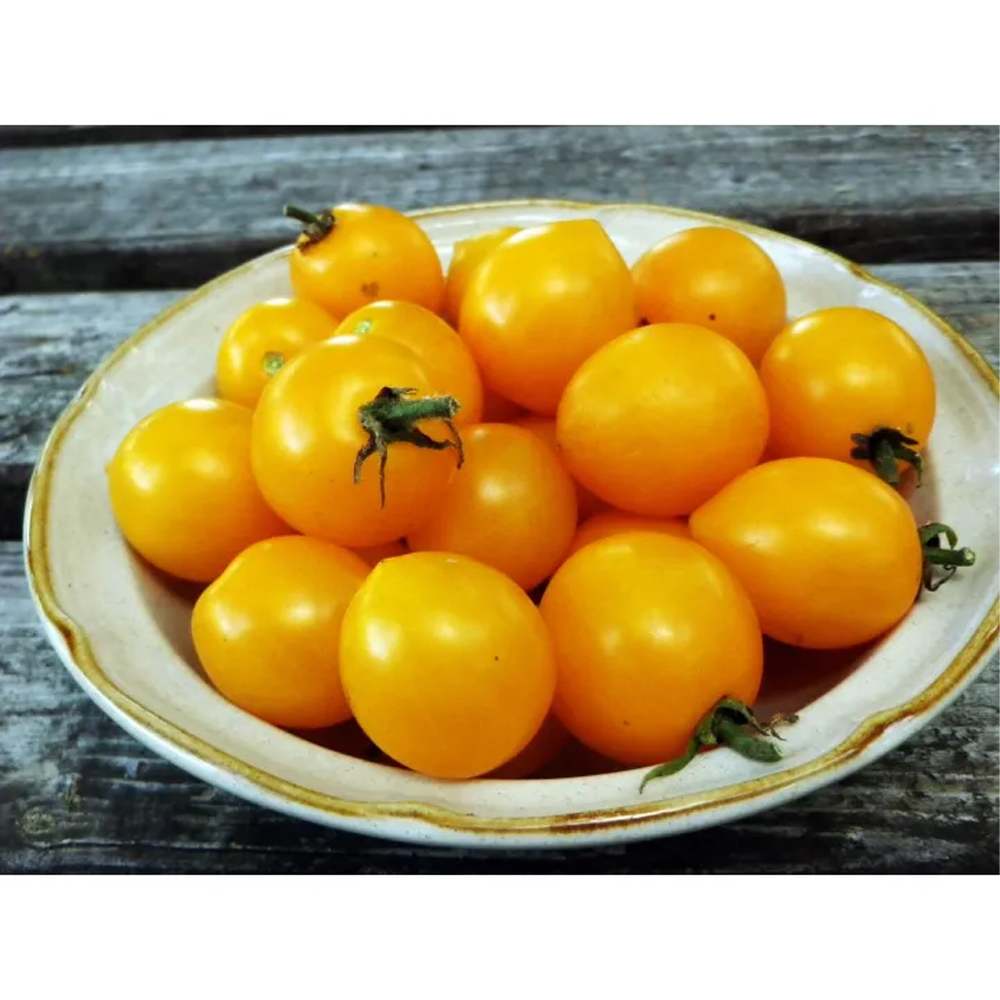 Cherry Tomato Seed - Yellow - 20 Pcs