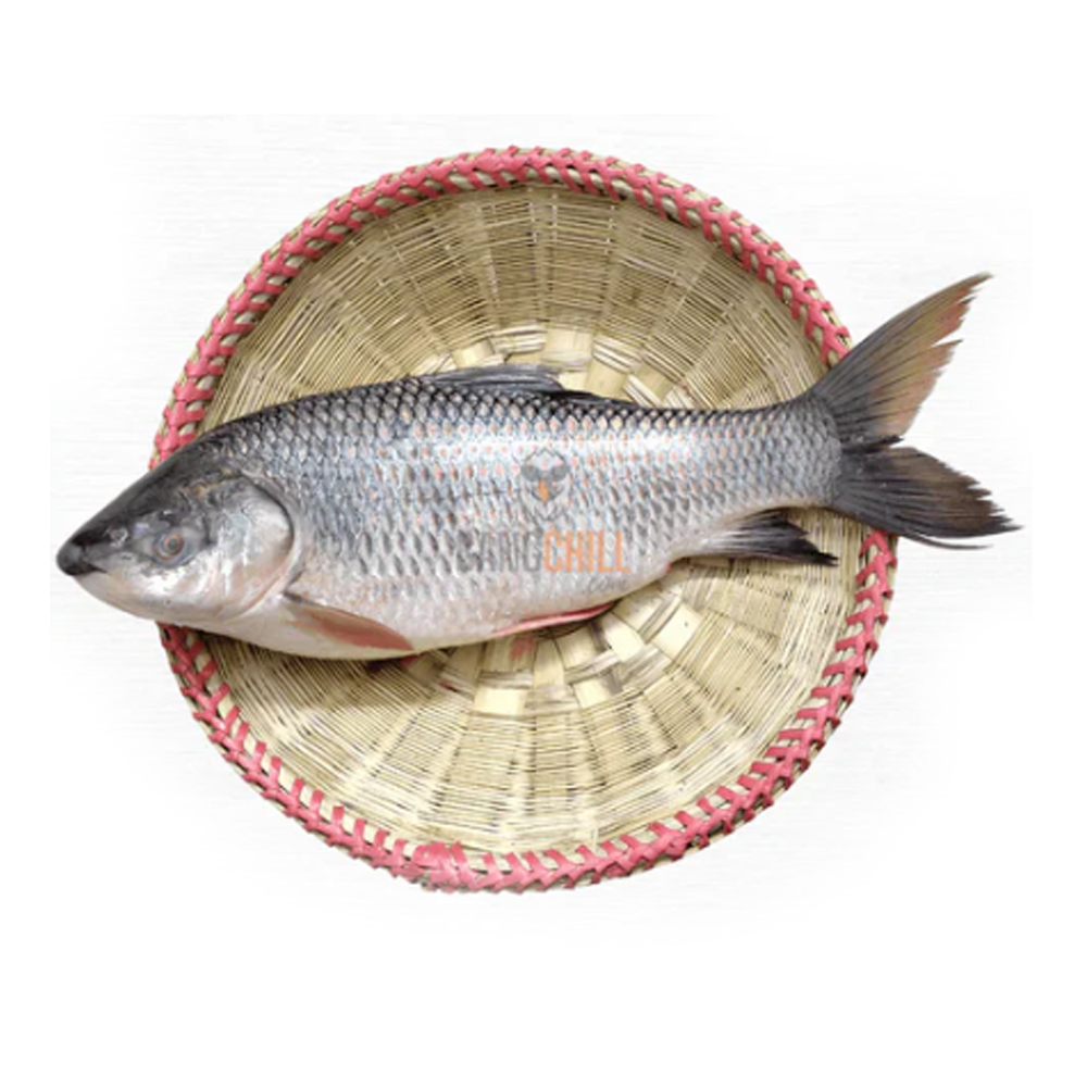 Rui Fish - 1 Kg