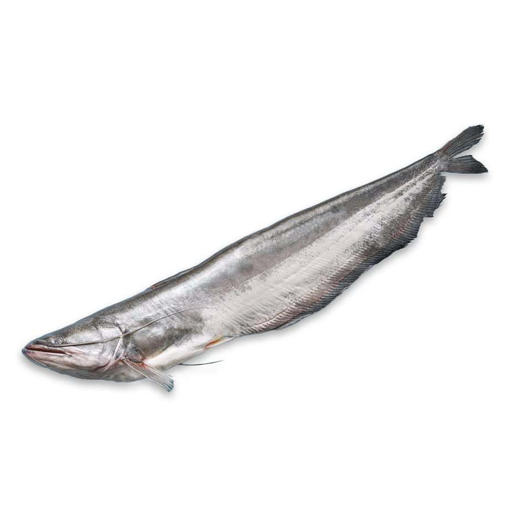 Nodir Boal Fish - 1 Kg