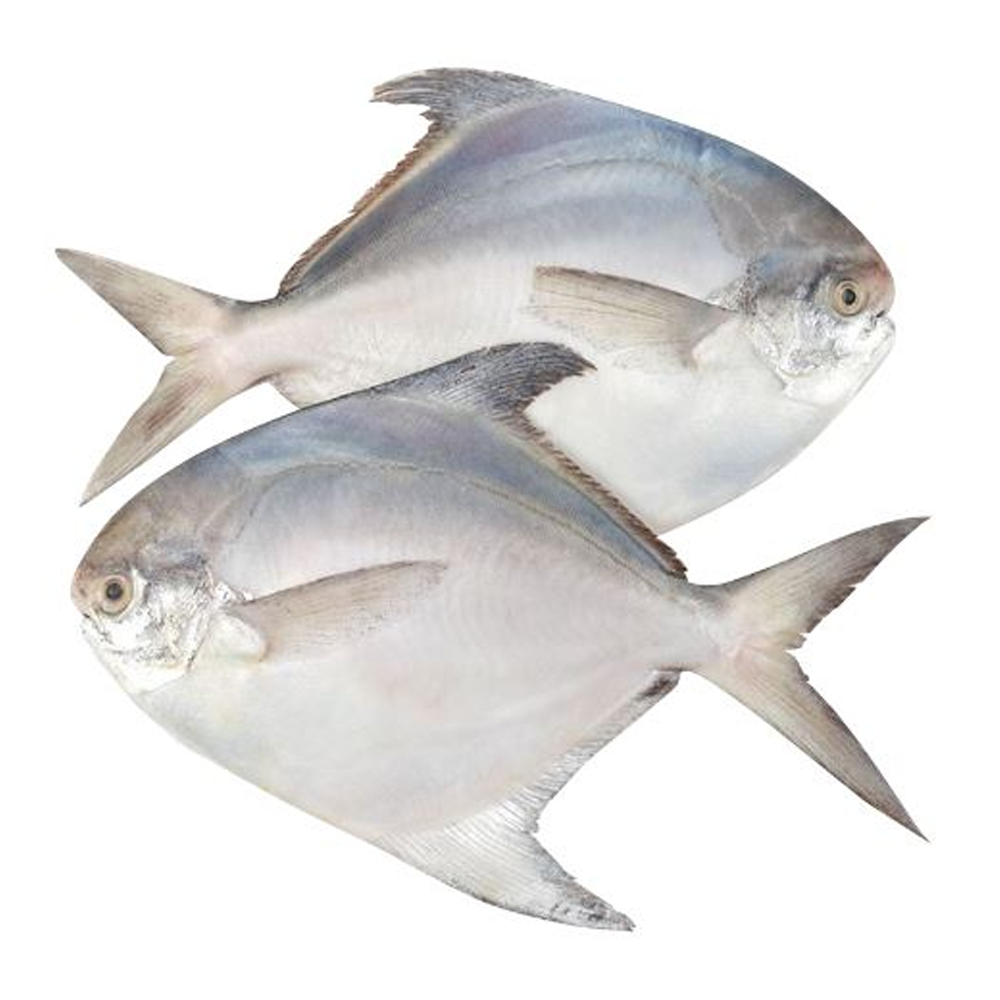 Rupchanda Fish - 1 Kg