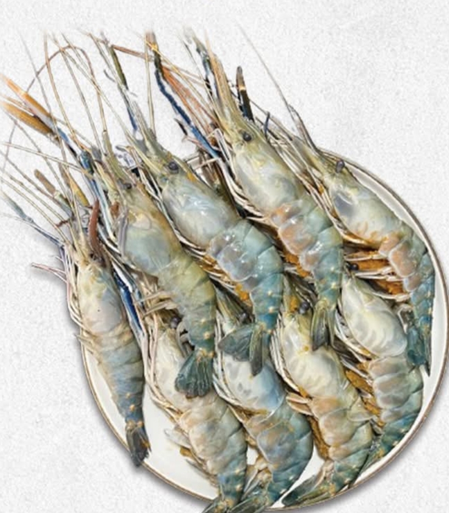 Lobsters গলদা চিংড়ী - 20-25 Pcs kg - 1Kg Pack