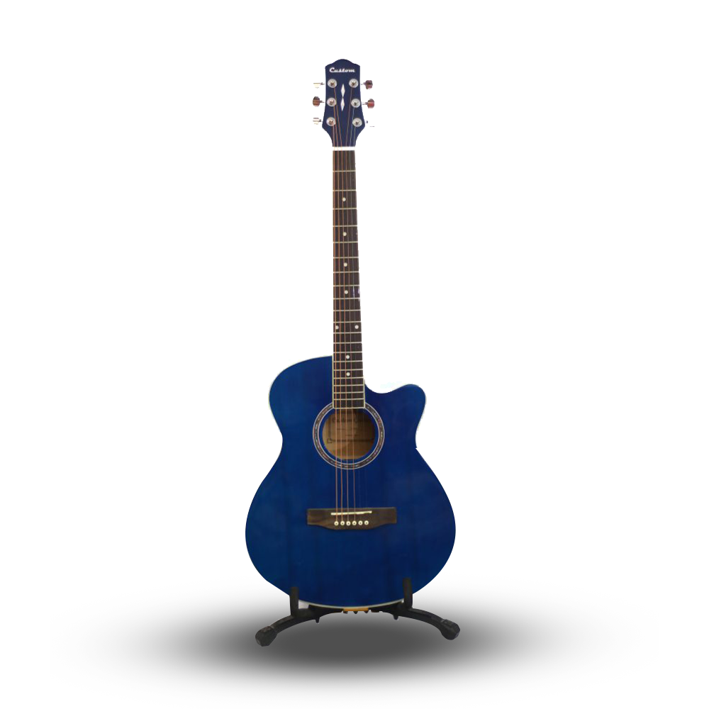 Custom Acoustic Guitar - Blue