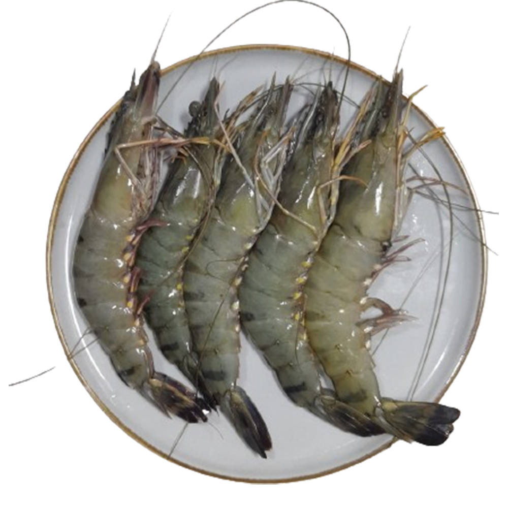 Bagda Chingri - 1 Kg (35-45 Pcs)