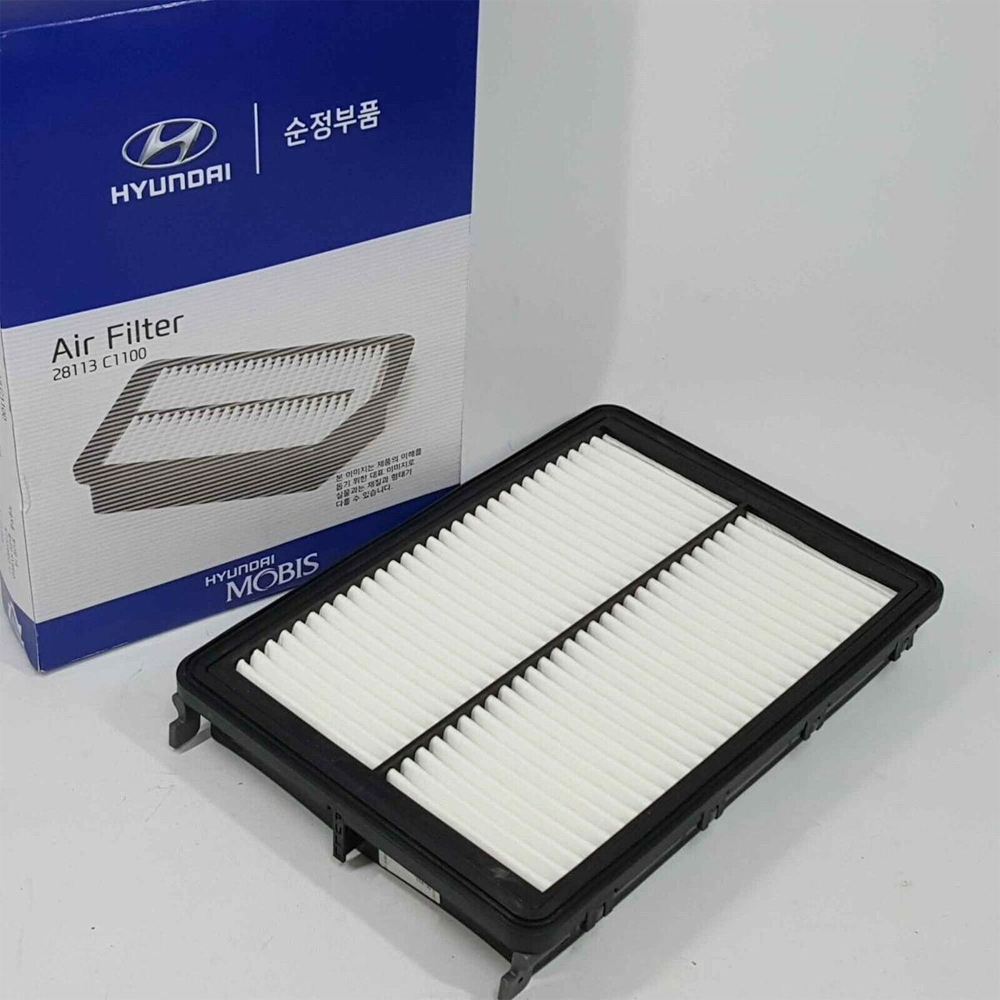Hyundai 28113-C1100 Air Filter For Hyundai Sonata-Vll - White and Black