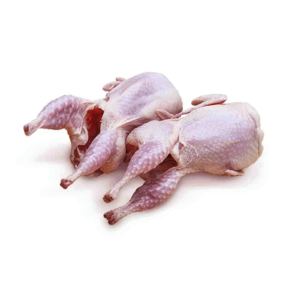 Process Pigeon Meat (Ready to Cook) - 2 Pcs