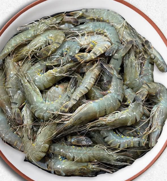 Prawn বাগদা চিংড়ী - 30-40 pcs kg - 1Kg Pack