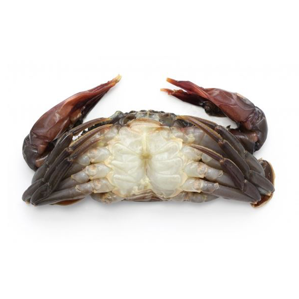 Whole Round Soft Shell Ready to Cook Large Crab - 1kg 