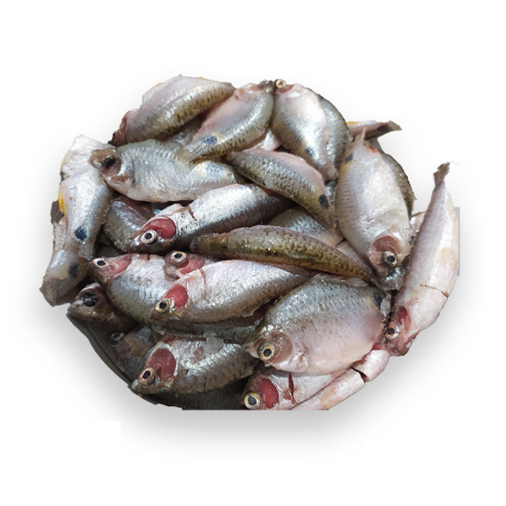 Pouti Fish - 1kg