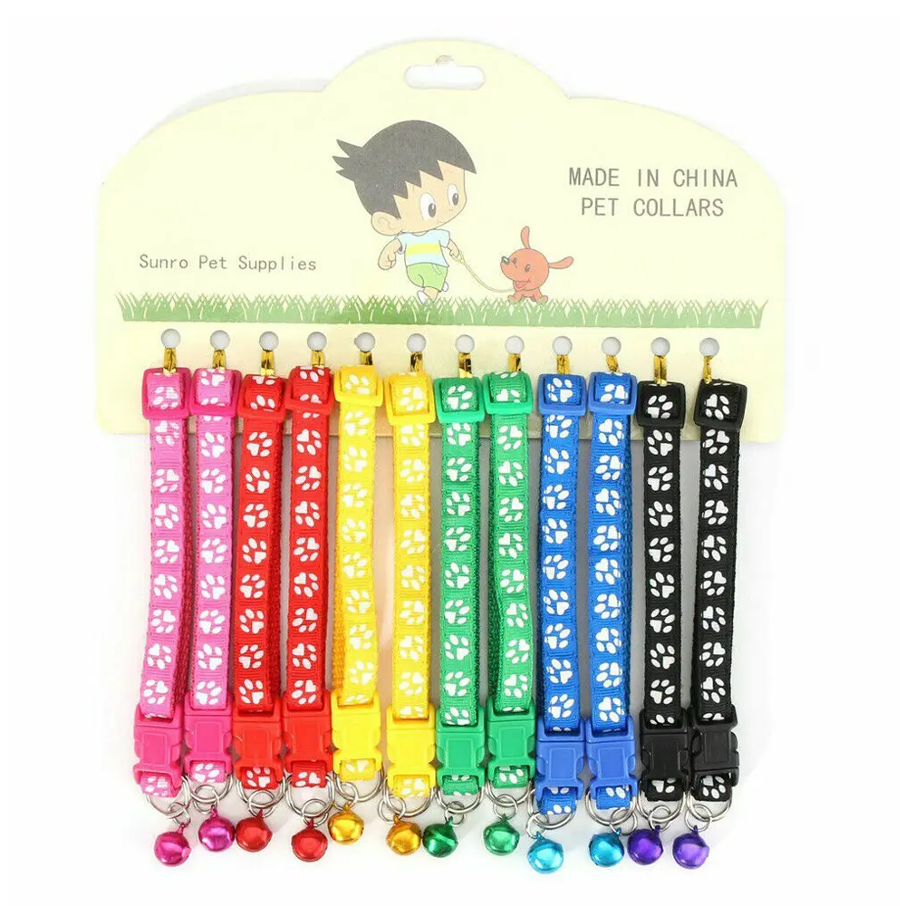 Pet Collar - Multicolor