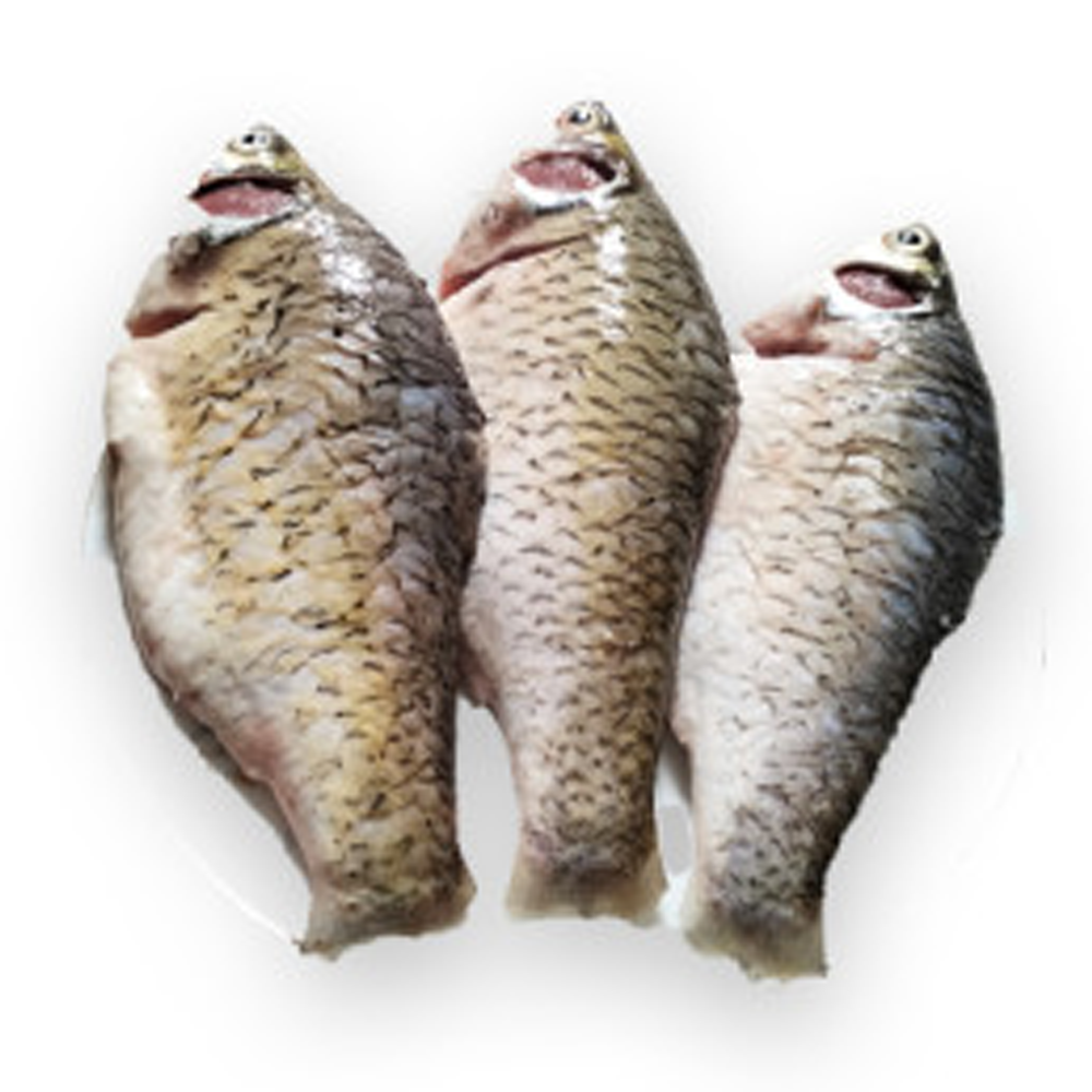 Sarpunti Fish- Ready to cook - 1kg