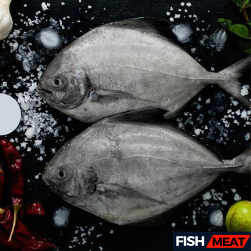 Black Pomfret Fish ( 3-4 Pcs Kg) - 1 kg