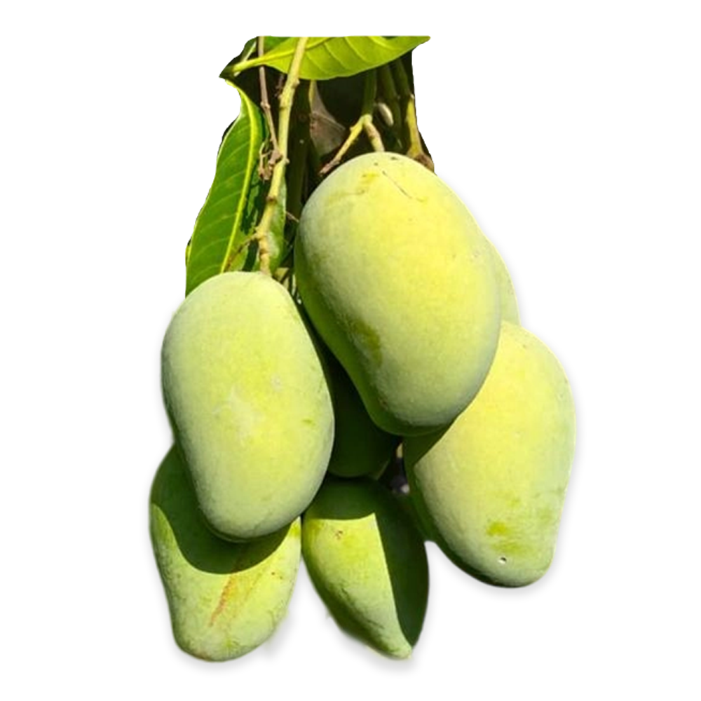 product image0