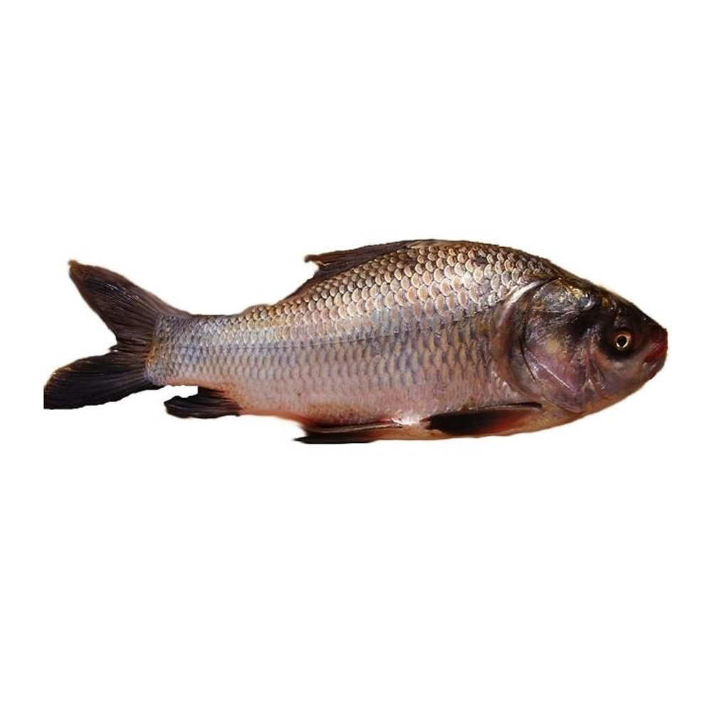 Katla Fish - 1 Kg